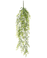 La pianta pensile artificiale Buxus 80 cm è una pianta pensile artificiale con lunghi viticci verdi sinuosi e piccole foglie rotonde su sfondo bianco.