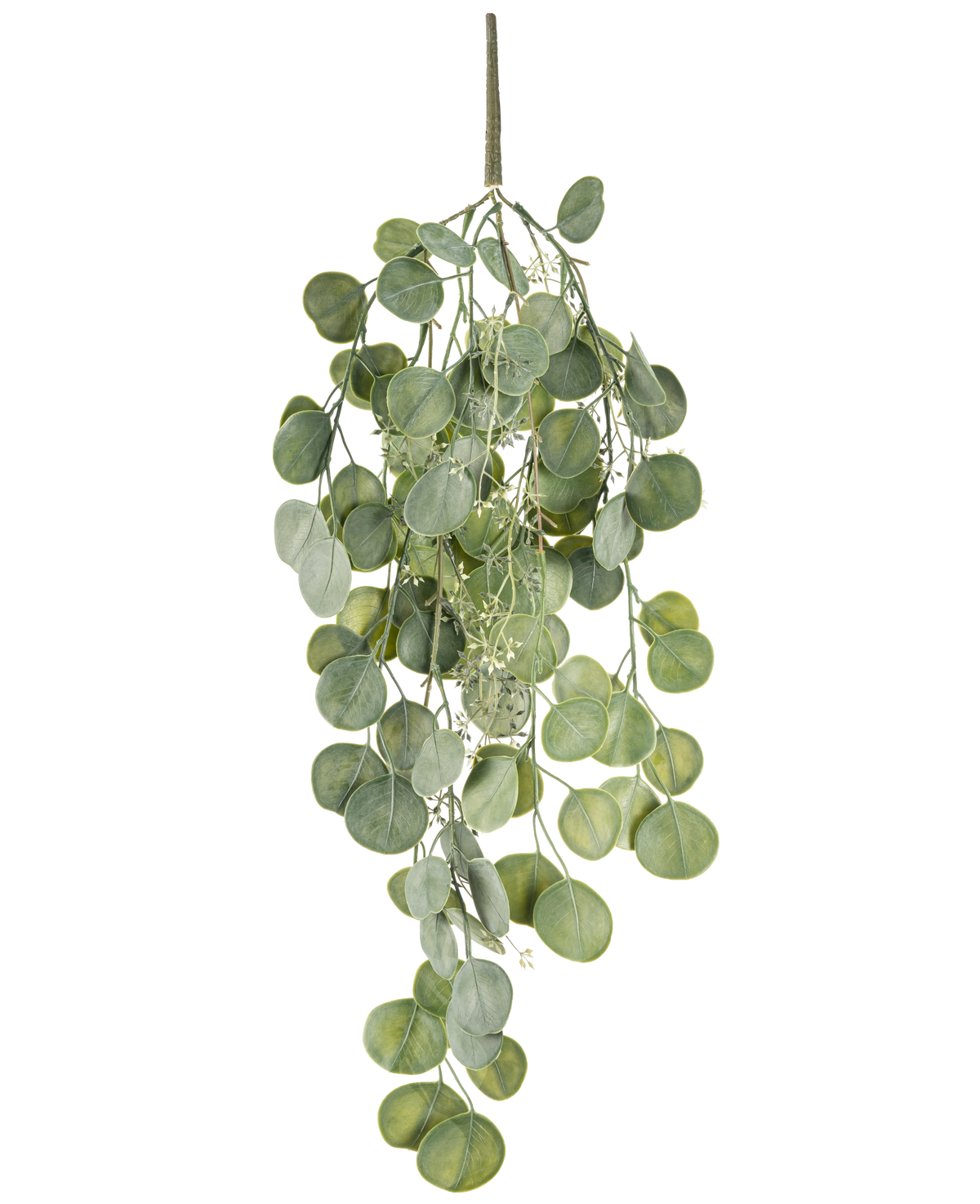 La pianta pensile artificiale Eucalipto 73 cm ha foglie verdi rotonde su diversi steli che pendono con grazia su uno sfondo bianco.