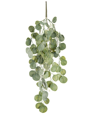 La pianta pensile artificiale Eucalipto 73 cm ha foglie verdi rotonde su diversi steli che pendono con grazia su uno sfondo bianco.
