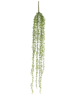 La pianta pensile artificiale Senecio 91 cm ha lunghi steli pendenti con piccole foglie verdi, che creano un'elegante pianta pensile artificiale su uno sfondo bianco a tinta unita.