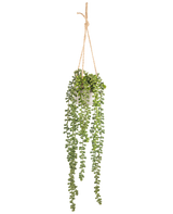 La pianta pensile artificiale Senecio in vaso da 55 cm ha lunghi steli pendenti verdi con foglie rotonde, sospesi in un vaso bianco su una corda marrone chiaro, perfetta per aggiungere verde a qualsiasi spazio.
