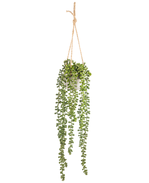 La pianta pensile artificiale Senecio in vaso da 55 cm ha lunghi steli pendenti verdi con foglie rotonde, sospesi in un vaso bianco su una corda marrone chiaro, perfetta per aggiungere verde a qualsiasi spazio.