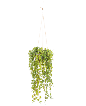 La pianta succulenta artificiale pensile da 53 cm in vaso ha foglie verdi rotonde che emergono da un vaso sospeso, tenute da sottili corde marroni su uno sfondo bianco semplice.