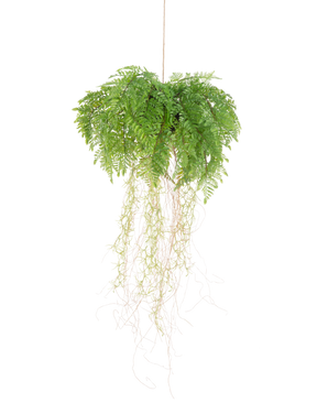 La pianta artificiale di felce con radici d35 cm con sistema di sospensione ha radici lunghe e sottili e pende su un filo su uno sfondo bianco senza manutenzione.