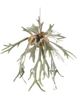 La pianta artificiale da appendere Staghorn su palla 89 cm ha lunghe foglie verdi biforcute e foglie marroni che pendono da una corda su uno sfondo bianco semplice.