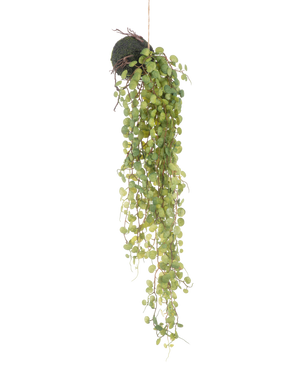 La pianta succulenta artificiale sospesa su sfera da 78 cm ha foglie verdi rotonde che emergono da un piccolo vaso sferico ricoperto di muschio, perfetto come accento decorativo su un semplice sfondo bianco.