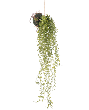 La pianta succulenta sferica artificiale da appendere da 58 cm presenta una pianta grassa verde con piccole foglie rotonde, che pende da una sfera ricoperta di muschio, su uno sfondo bianco semplice.