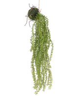 La pianta artificiale sospesa Phlegmariurus Ball 55 cm presenta rigogliose foglie verdi pendenti che scendono da una palla ricoperta di muschio, sospesa a una corda per un'esposizione elegante su qualsiasi sfondo.