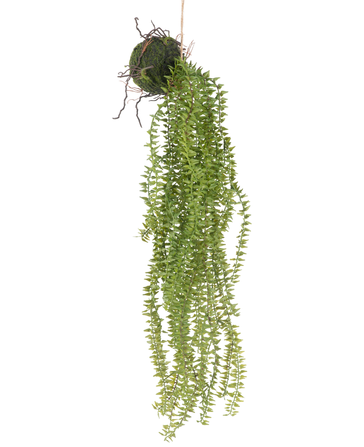 La pianta artificiale sospesa Phlegmariurus Ball 55 cm presenta rigogliose foglie verdi pendenti che scendono da una palla ricoperta di muschio, sospesa a una corda per un'esposizione elegante su qualsiasi sfondo.