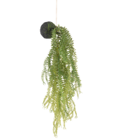 La pianta pensile artificiale Phlegmariurus palla 50 cm ha foglie di felce verdi su una base rotonda ricoperta di muschio, sospese ad una corda su uno sfondo bianco.