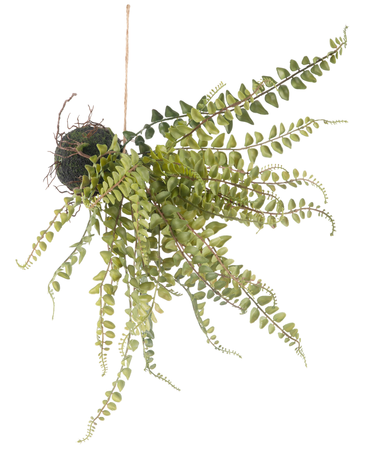 La palla di felce artificiale da appendere, da 45 cm, ha foglie verdi simili a felci pendenti ed è appesa a un filo, perfetta per essere esposta su uno sfondo bianco.