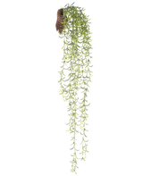 La pianta pensile artificiale Senecio 86 cm ha lunghi steli succulenti verdi con foglie piccole e strette che emergono da una zolla marrone, su uno sfondo bianco.