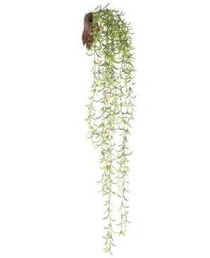 La pianta pensile artificiale Senecio 86 cm ha lunghi steli succulenti verdi con foglie piccole e strette che emergono da una zolla marrone, su uno sfondo bianco.