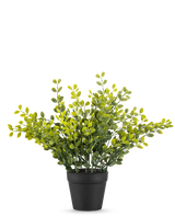 La pianta artificiale di foglie di tè da 25 cm è una piccola pianta dal fogliame verde con foglie gialle in un semplice vaso nero, su un semplice sfondo bianco.