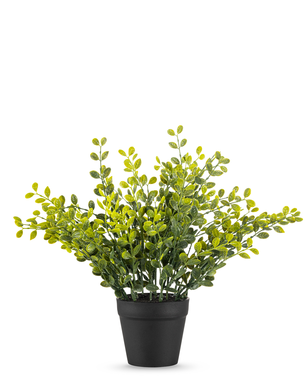 La pianta artificiale di foglie di tè da 25 cm è una piccola pianta dal fogliame verde con foglie gialle in un semplice vaso nero, su un semplice sfondo bianco.