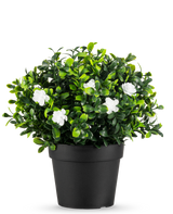 La pianta artificiale Pumila in vaso UV 21 cm è una piccola pianta artificiale con fitte foglie verdi e delicati fiori bianchi, in un semplice vaso nero su un semplice sfondo bianco.