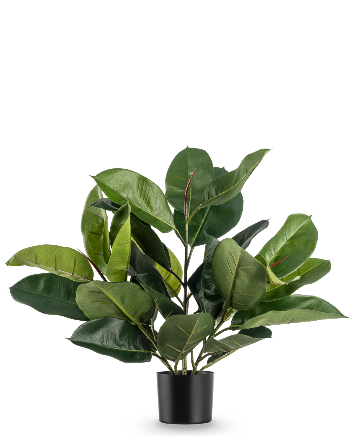 La pianta di gomma artificiale da 51 cm ha foglie larghe e rigogliose di colore verde intenso in un semplice vaso nero, su uno sfondo bianco semplice.