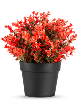 La pianta artificiale Buxus rossa in vaso UV 19 cm è un vaso da fiori nero compatto con un rigoglioso mix di foglie artificiali rosse e verdi su uno sfondo bianco a tinta unita.