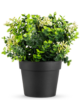 La pianta artificiale Eucalipto mix UV 22 cm ha foglie verde brillante e piccoli fiori bianchi in un semplice vaso nero, su uno sfondo bianco.