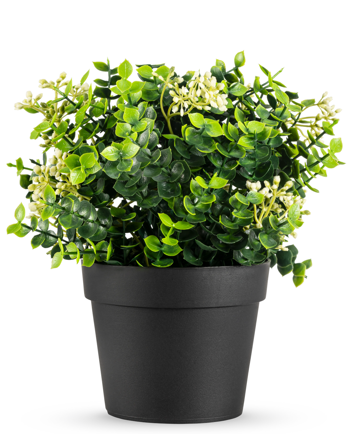La pianta artificiale Eucalipto mix UV 22 cm ha foglie verde brillante e piccoli fiori bianchi in un semplice vaso nero, su uno sfondo bianco.