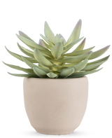 La pianta succulenta artificiale da 18 cm ha foglie verdi spesse e appuntite in un semplice vaso rotondo di ceramica bianco sporco, su uno sfondo bianco.