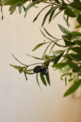 Un ramo di olivo con foglie verdi e due olive viola scuro su sfondo beige, che evoca l'aspetto realistico dell'olivo artificiale di 200 cm.