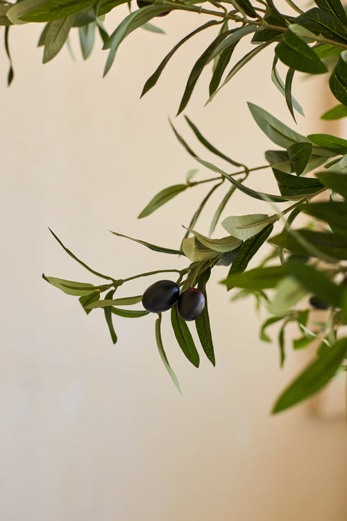 Un ramo di olivo con foglie verdi e due olive viola scuro su sfondo beige, che evoca l'aspetto realistico dell'olivo artificiale di 200 cm.