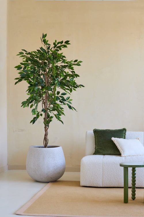 Una pianta artificiale Ficus Green da 180 cm in un vaso decorativo si trova accanto a un divano imbottito bianco con cuscini verdi e bianchi e un tavolino verde, in un soggiorno minimalista con pareti neutre e un tappeto beige.
