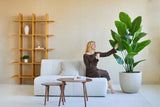 Una donna vestita di marrone si siede su un divano bianco, sorride e tiene in mano un drink mentre tocca la pianta artificiale Strelitzia Real Touch Deluxe 180 cm in un soggiorno moderno e minimalista con ripiani in legno e un tavolino da caffè.