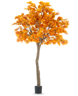 L'albero artificiale di acero da 280 cm è un alto acero artificiale con vivaci foglie autunnali di colore arancione in un vaso nero, isolato su uno sfondo bianco.