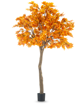 L'albero artificiale di acero da 280 cm è un alto acero artificiale con vivaci foglie autunnali di colore arancione in un vaso nero, isolato su uno sfondo bianco.