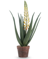 La pianta di Aloe artificiale con fiore da 66 cm è un'aloe vera artificiale in vaso con foglie verdi lunghe e spesse e un lungo ramo di fiori gialli, isolato su sfondo bianco.