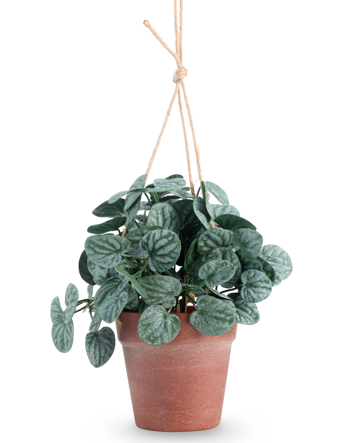 La foglia rugosa artificiale verde da 29 cm in vaso sospeso ha foglie rotonde di colore verde scuro in un vaso sospeso marrone, su uno sfondo bianco a tinta unita.