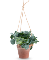 La foglia artificiale di Rugose verde da 18 cm ha foglie verdi rotonde in un vaso sospeso di terracotta, appeso a una corda marrone chiaro, su uno sfondo bianco semplice.
