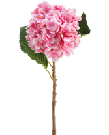 Il fiore artificiale Ortensia Real Touch rosa 58 cm è un unico stelo di ortensia artificiale rosa con foglie verdi, con un fiore rotondo composto da tanti piccoli petali, splendidamente dettagliato e isolato su uno sfondo bianco.