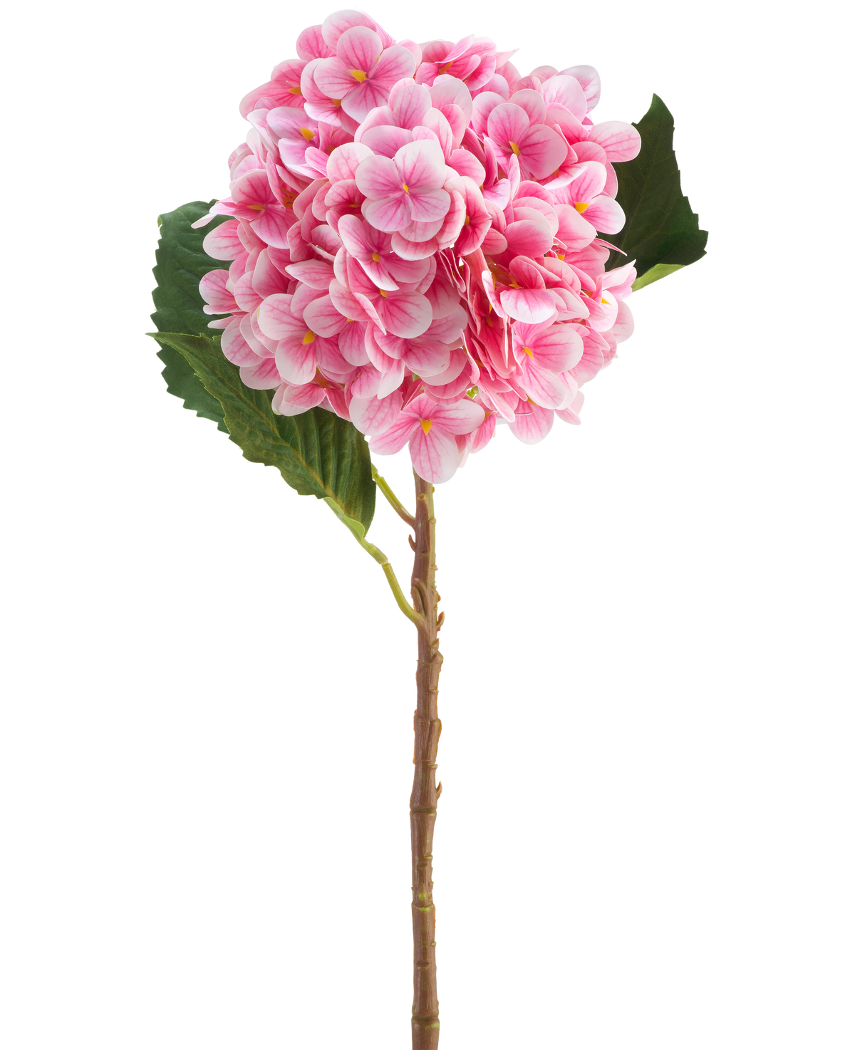 Il fiore artificiale Ortensia Real Touch rosa 58 cm è un unico stelo di ortensia artificiale rosa con foglie verdi, con un fiore rotondo composto da tanti piccoli petali, splendidamente dettagliato e isolato su uno sfondo bianco.