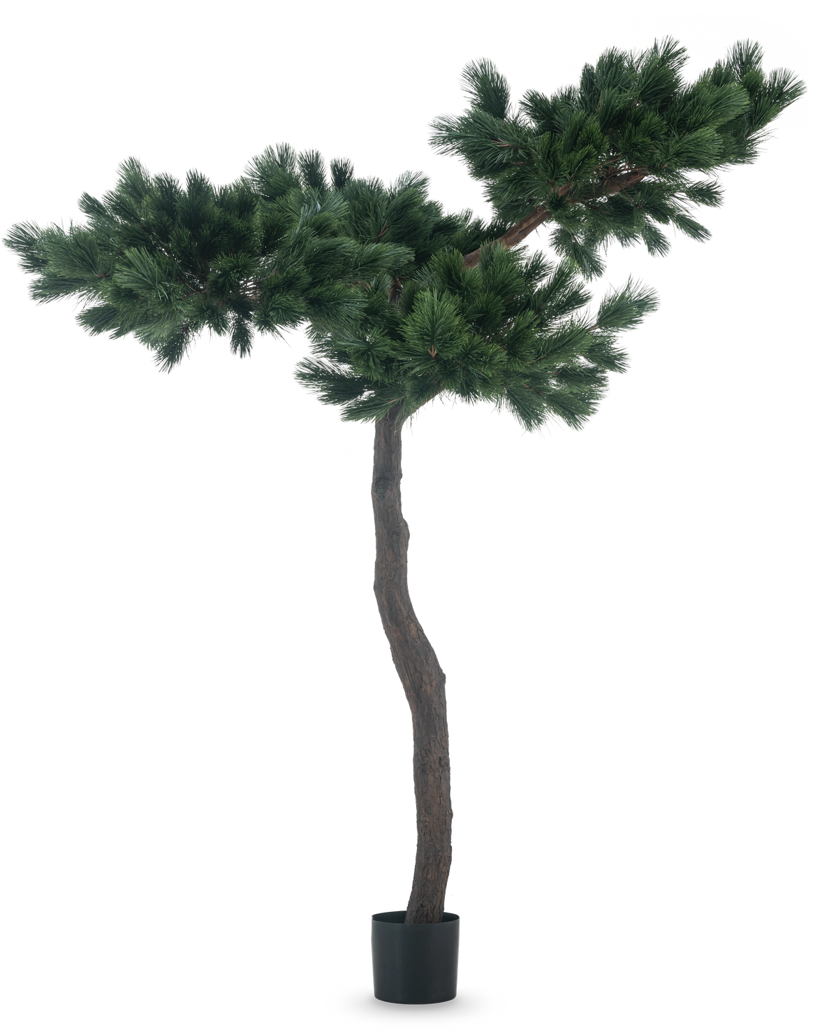 La pianta artificiale Pinus 210 cm è un alto pino artificiale con un tronco sottile e ricurvo e due rami larghi e cespugliosi con densi aghi verdi, raffigurati su uno sfondo bianco semplice.
