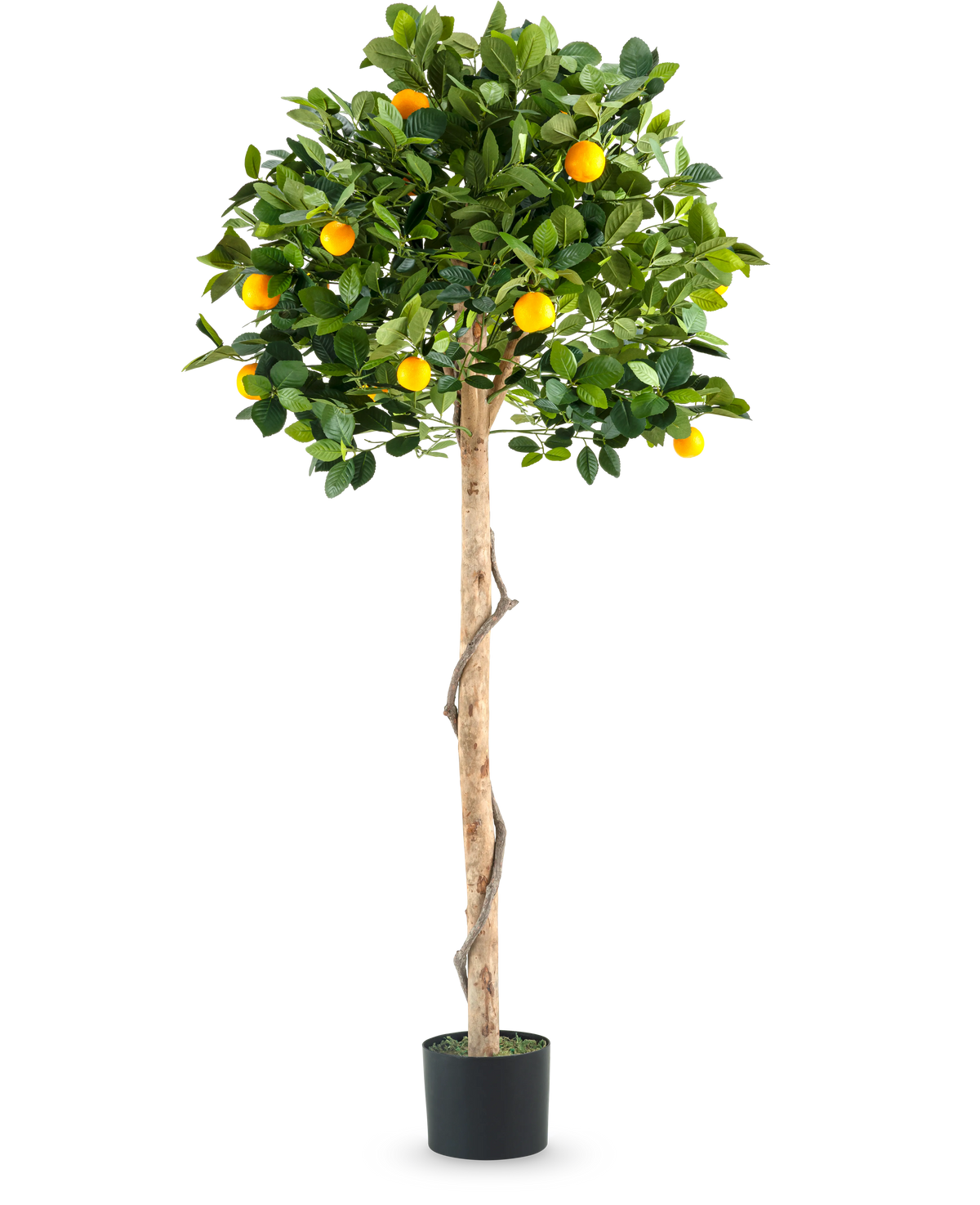 Una pianta artificiale di arancio su tronco singolo da 150 cm in vaso con un tronco sottile, foglie verdi vivaci e frutti arancioni realistici, raffigurati su un semplice sfondo bianco.