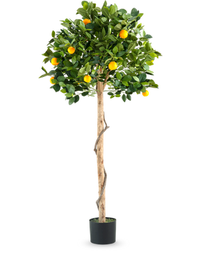 Una pianta artificiale di arancio su tronco singolo da 150 cm in vaso con un tronco sottile, foglie verdi vivaci e frutti arancioni realistici, raffigurati su un semplice sfondo bianco.