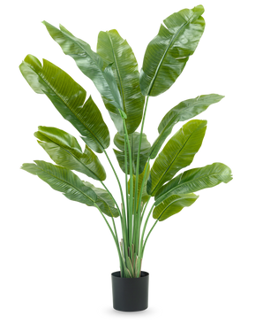 La pianta artificiale Strelitzia Nicolai Deluxe 165 cm ha foglie verdi alte e larghe in un vaso nero, su uno sfondo bianco - perfetta come pianta artificiale verde per i tuoi interni.