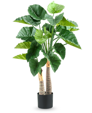La pianta artificiale Alocasia 120 cm ha grandi foglie verdi lucide e due steli spessi e strutturati in un semplice vaso nero, su uno sfondo bianco.