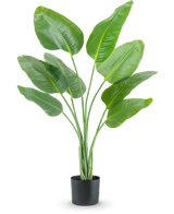 La pianta artificiale Strelitzia 120 cm real touch ha foglie allungate alte, verdi, che crescono verso l'alto in un vaso nero, su uno sfondo bianco a tinta unita.