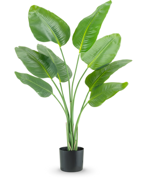 La pianta artificiale Strelitzia 120 cm real touch ha foglie allungate alte, verdi, che crescono verso l'alto in un vaso nero, su uno sfondo bianco a tinta unita.