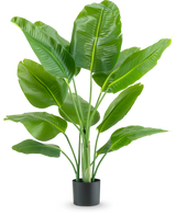 La pianta artificiale Strelitzia Real Touch Deluxe 120 cm ha foglie verdi larghe e lucide su steli lunghi, in un semplice vaso nero e su uno sfondo bianco a tinta unita.