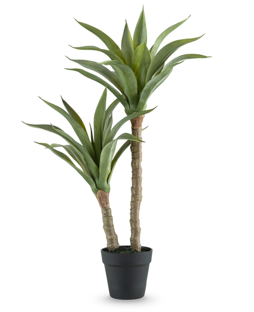 La pianta artificiale Agave da 76 cm ha due steli lunghi e spessi con foglie verdi lunghe e appuntite in un vaso nero, su uno sfondo bianco a tinta unita.