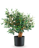 L'Olive Mount UV artificiale da 60 cm è un piccolo olivo in vaso con foglie verdi lussureggianti e un tronco robusto, presentato in un elegante vaso nero su un semplice sfondo bianco.