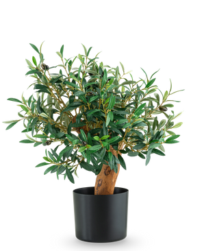 L'Olive Mount UV artificiale da 60 cm è un piccolo olivo in vaso con foglie verdi lussureggianti e un tronco robusto, presentato in un elegante vaso nero su un semplice sfondo bianco.