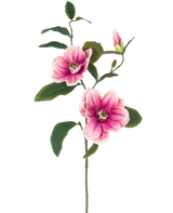 Il fiore artificiale Magnolia rosa/bianco da 82 cm ha un unico stelo con due grandi fiori di magnolia rosa-bianchi, un bocciolo e diverse foglie verde scuro, su uno sfondo bianco semplice.