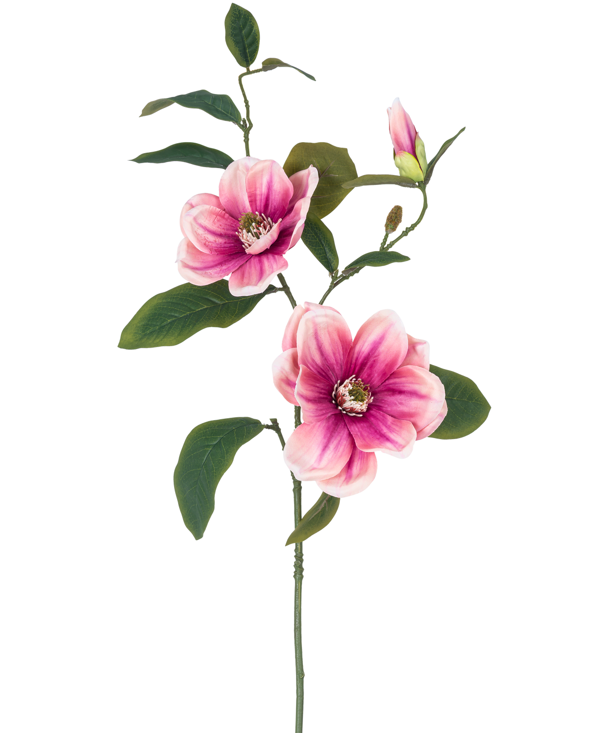 Il fiore artificiale Magnolia rosa/bianco da 82 cm ha un unico stelo con due grandi fiori di magnolia rosa-bianchi, un bocciolo e diverse foglie verde scuro, su uno sfondo bianco semplice.
