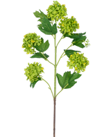 Il ramo artificiale Snowball 77 cm verde ha un unico stelo con diversi mazzi di fiori rotondi di colore verde-giallo e foglie dentellate di colore verde scuro, il tutto su uno sfondo bianco.
